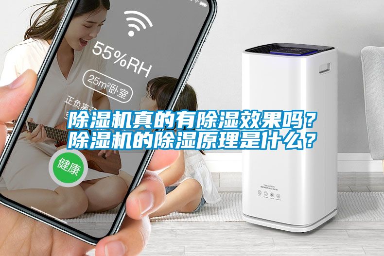 除濕機(jī)真的有除濕效果嗎？除濕機(jī)的除濕原理是什么？