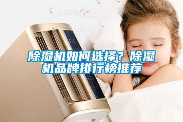 除濕機(jī)如何選擇？除濕機(jī)品牌排行榜推薦