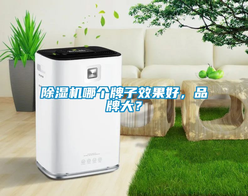 除濕機(jī)哪個(gè)牌子效果好，品牌大？