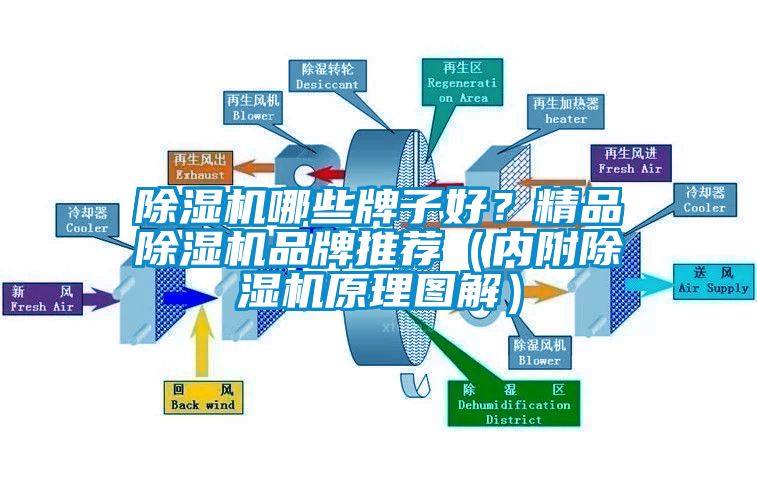 除濕機(jī)哪些牌子好？精品除濕機(jī)品牌推薦（內(nèi)附除濕機(jī)原理圖解）