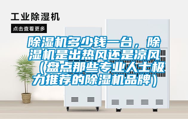除濕機多少錢一臺，除濕機是出熱風(fēng)還是涼風(fēng)（盤點那些專業(yè)人士極力推薦的除濕機品牌）