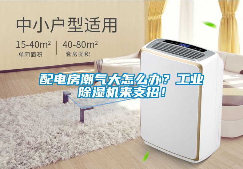 配電房潮氣大怎么辦？工業(yè)除濕機來支招！