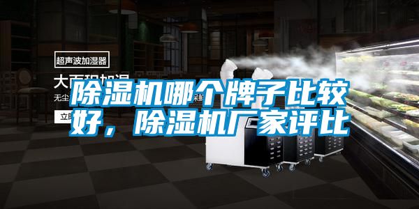 除濕機(jī)哪個(gè)牌子比較好，除濕機(jī)廠家評(píng)比
