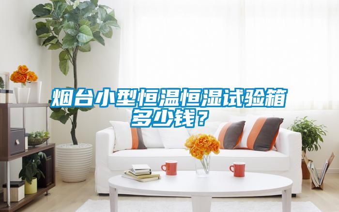 煙臺小型恒溫恒濕試驗箱多少錢？