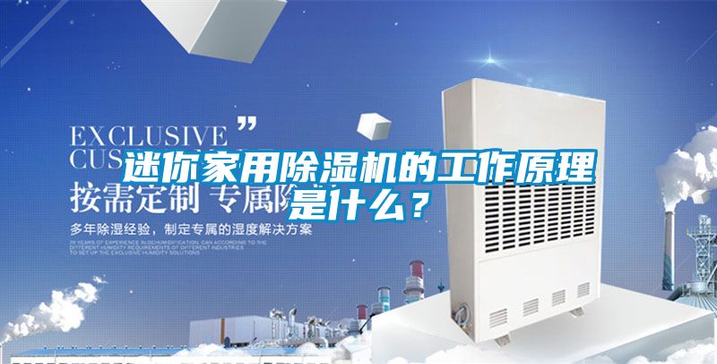 迷你家用除濕機(jī)的工作原理是什么？
