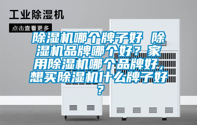 除濕機哪個牌子好 除濕機品牌哪個好？家用除濕機哪個品牌好，想買除濕機什么牌子好？
