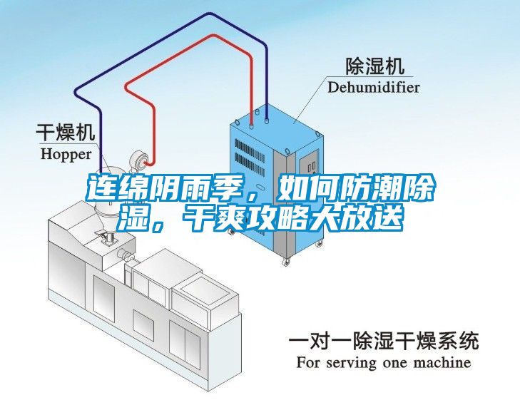 連綿陰雨季，如何防潮除濕，干爽攻略大放送