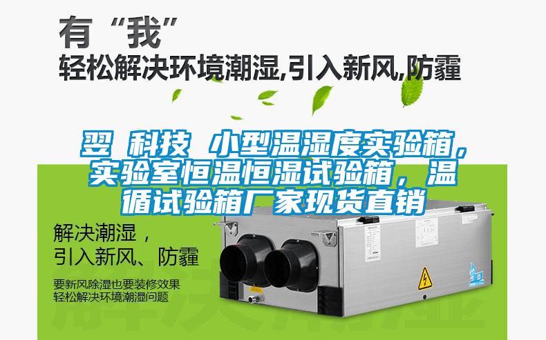 翌昇科技 小型溫濕度實(shí)驗(yàn)箱，實(shí)驗(yàn)室恒溫恒濕試驗(yàn)箱，溫循試驗(yàn)箱廠家現(xiàn)貨直銷