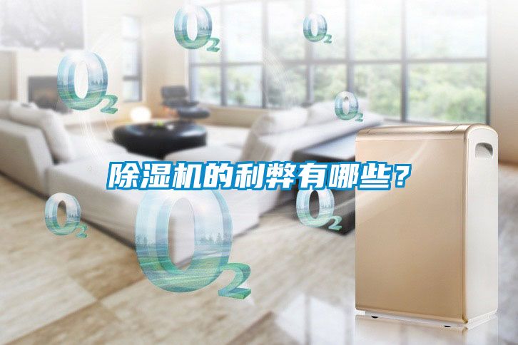 除濕機(jī)的利弊有哪些？