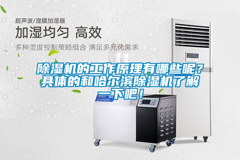 除濕機的工作原理有哪些呢？具體的和哈爾濱除濕機了解一下吧！