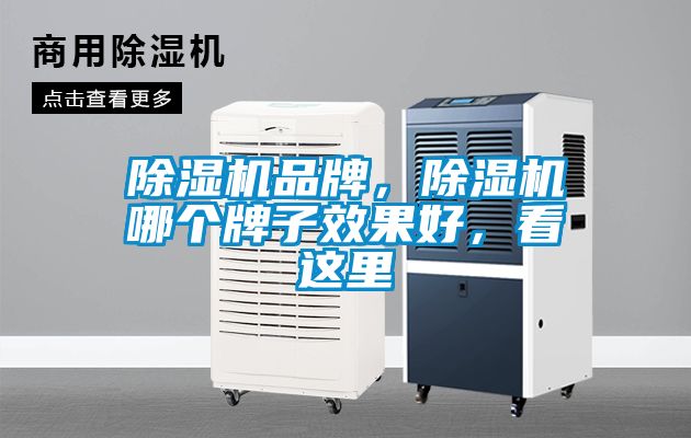 除濕機品牌，除濕機哪個牌子效果好，看這里