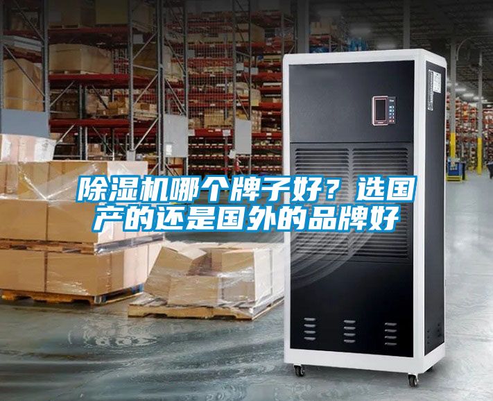 除濕機(jī)哪個(gè)牌子好？選國產(chǎn)的還是國外的品牌好