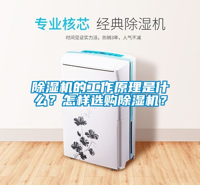 除濕機的工作原理是什么？怎樣選購除濕機？