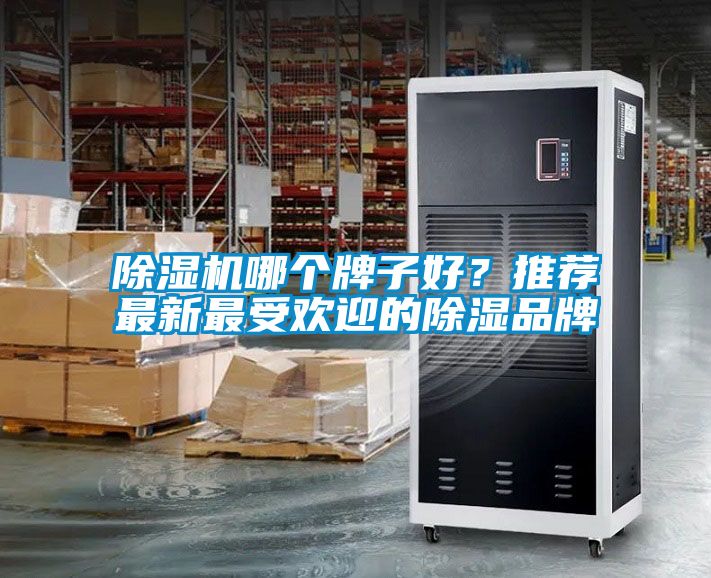 除濕機哪個牌子好？推薦最新最受歡迎的除濕品牌