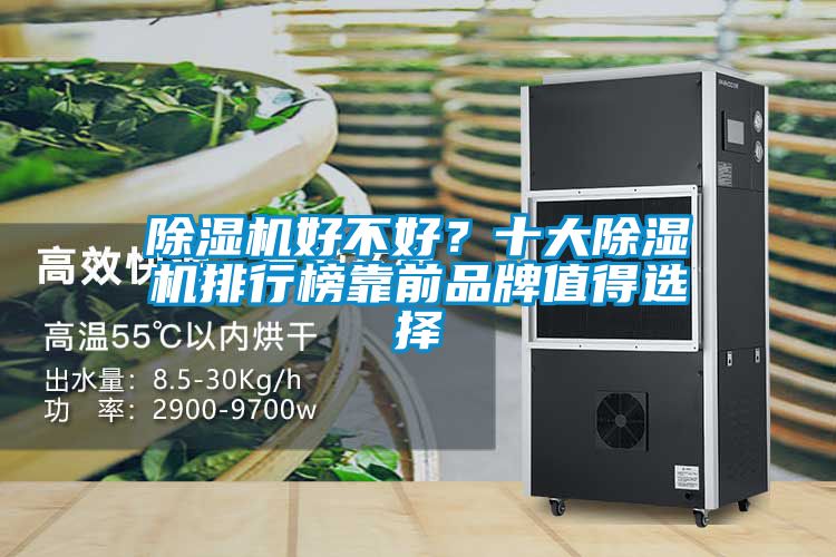 除濕機好不好？十大除濕機排行榜靠前品牌值得選擇
