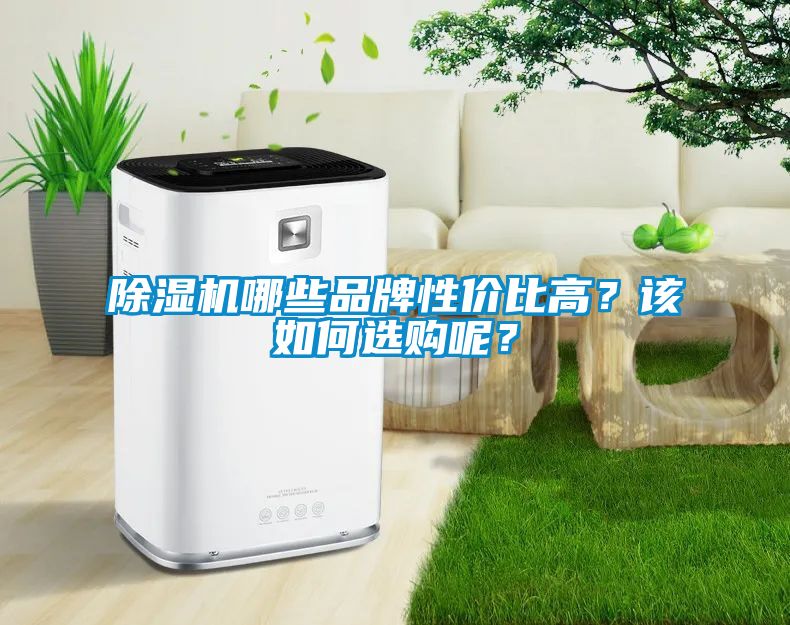 除濕機(jī)哪些品牌性價(jià)比高？該如何選購呢？