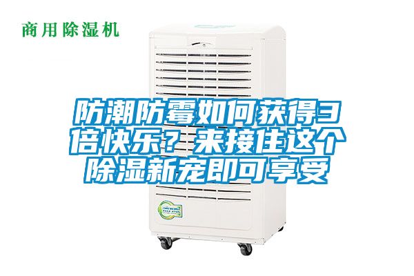 防潮防霉如何獲得3倍快樂？來接住這個除濕新寵即可享受