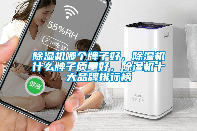 除濕機哪個牌子好，除濕機什么牌子質量好，除濕機十大品牌排行榜