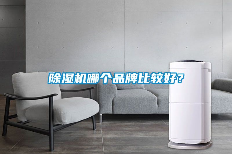 除濕機(jī)哪個(gè)品牌比較好？