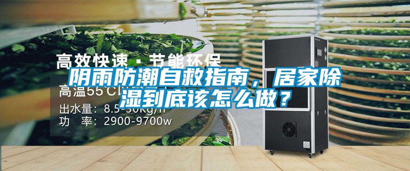 陰雨防潮自救指南，居家除濕到底該怎么做？