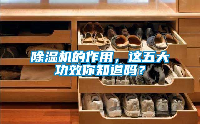 除濕機的作用，這五大功效你知道嗎？