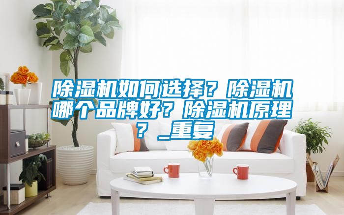 除濕機(jī)如何選擇？除濕機(jī)哪個(gè)品牌好？除濕機(jī)原理？_重復(fù)