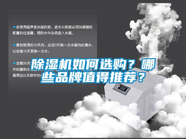 除濕機如何選購？哪些品牌值得推薦？