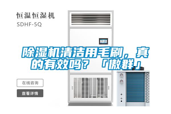 除濕機清潔用毛刷，真的有效嗎？「傲群」