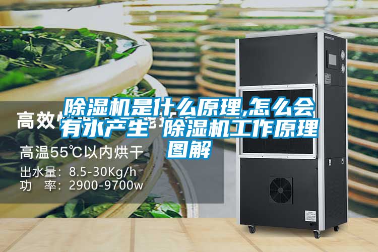除濕機是什么原理,怎么會有水產(chǎn)生 除濕機工作原理圖解
