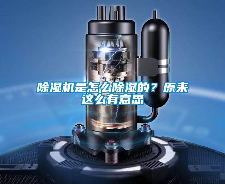 除濕機是怎么除濕的？原來這么有意思