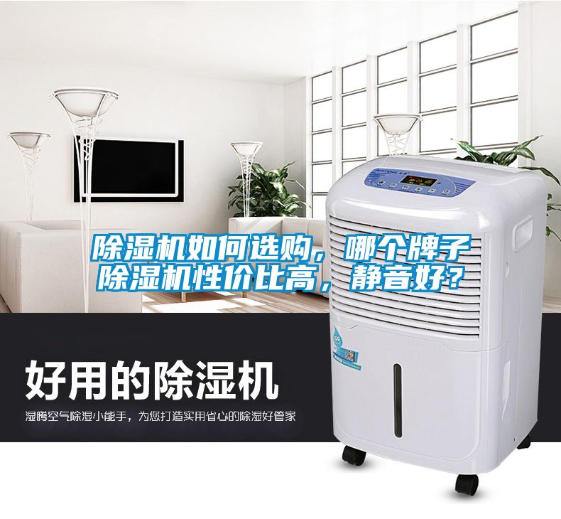 除濕機(jī)如何選購，哪個牌子除濕機(jī)性價比高，靜音好？