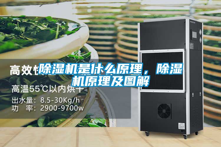 除濕機(jī)是什么原理，除濕機(jī)原理及圖解