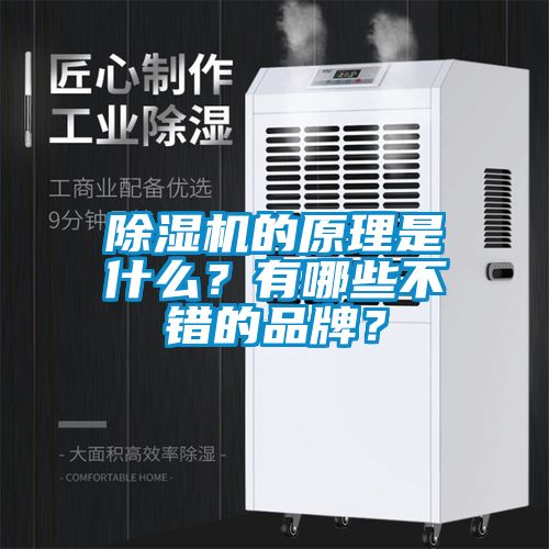 除濕機(jī)的原理是什么？有哪些不錯(cuò)的品牌？