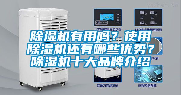 除濕機有用嗎？使用除濕機還有哪些優(yōu)勢？除濕機十大品牌介紹