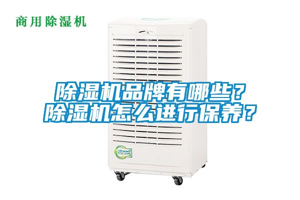 除濕機品牌有哪些？除濕機怎么進行保養(yǎng)？