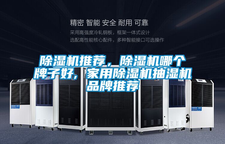 除濕機推薦，除濕機哪個牌子好, 家用除濕機抽濕機品牌推薦
