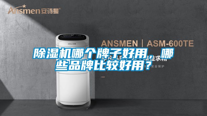 除濕機哪個牌子好用，哪些品牌比較好用？