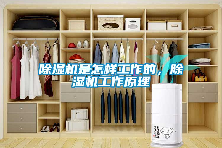 除濕機(jī)是怎樣工作的，除濕機(jī)工作原理