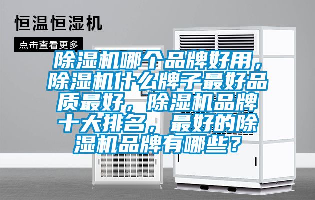 除濕機哪個品牌好用，除濕機什么牌子最好品質(zhì)最好，除濕機品牌十大排名，最好的除濕機品牌有哪些？