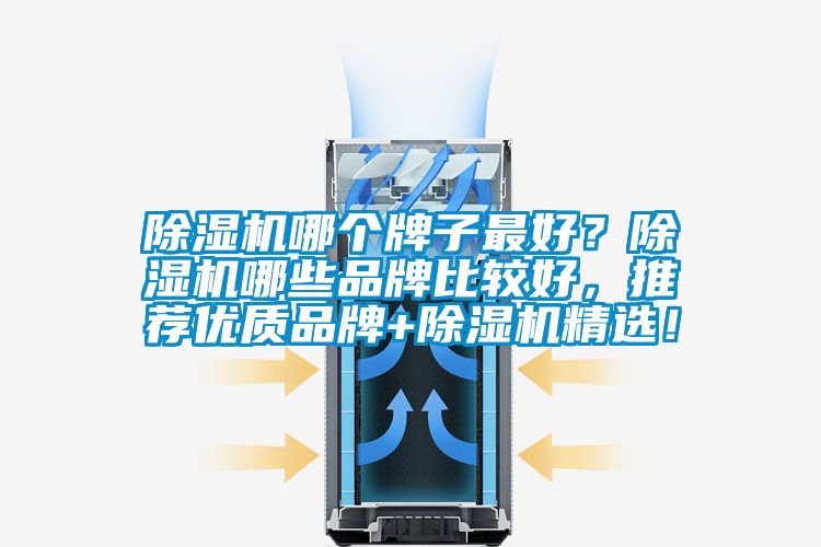 除濕機(jī)哪個(gè)牌子最好？除濕機(jī)哪些品牌比較好，推薦優(yōu)質(zhì)品牌+除濕機(jī)精選！