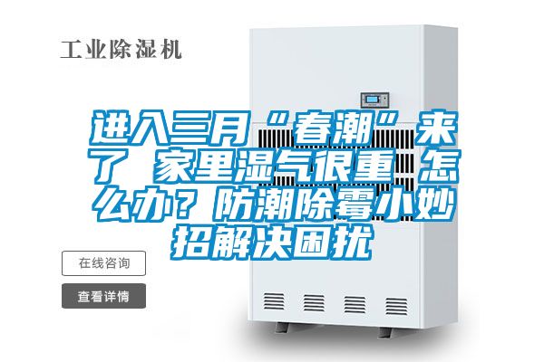 進(jìn)入三月“春潮”來了 家里濕氣很重 怎么辦？防潮除霉小妙招解決困擾