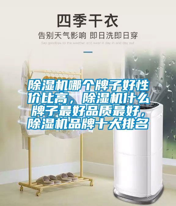 除濕機哪個牌子好性價比高，除濕機什么牌子最好品質(zhì)最好，除濕機品牌十大排名