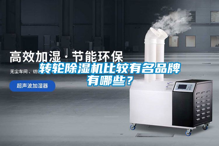 轉(zhuǎn)輪除濕機比較有名品牌有哪些？