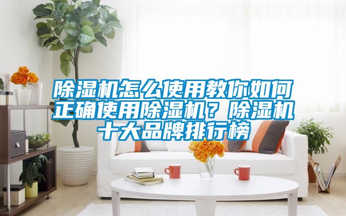 除濕機怎么使用教你如何正確使用除濕機？除濕機十大品牌排行榜