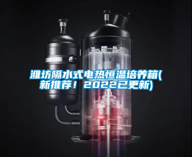 濰坊隔水式電熱恒溫培養(yǎng)箱(新推薦！2022已更新)