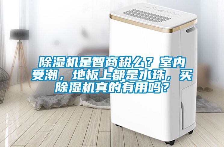 除濕機(jī)是智商稅么？室內(nèi)受潮，地板上都是水珠，買(mǎi)除濕機(jī)真的有用嗎？