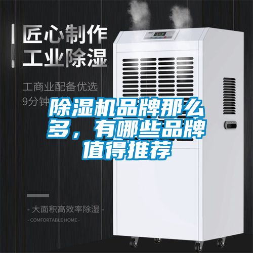 除濕機品牌那么多，有哪些品牌值得推薦