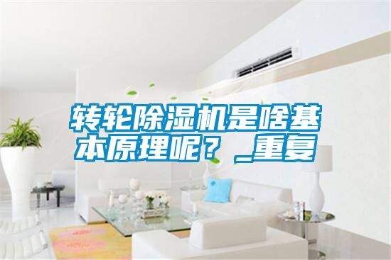 轉(zhuǎn)輪除濕機是啥基本原理呢？_重復(fù)