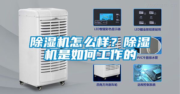 除濕機(jī)怎么樣？除濕機(jī)是如何工作的