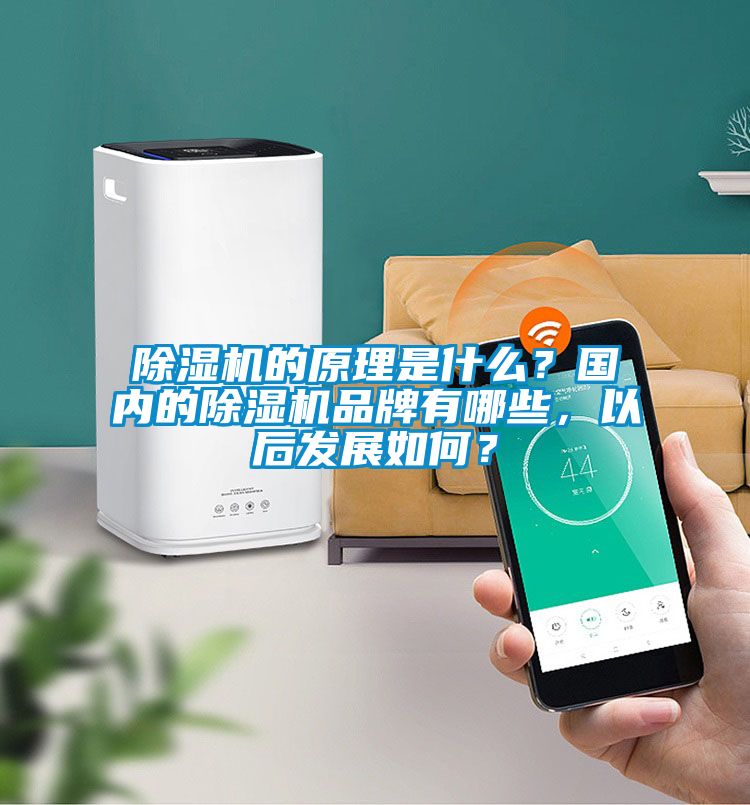 除濕機(jī)的原理是什么？國(guó)內(nèi)的除濕機(jī)品牌有哪些，以后發(fā)展如何？